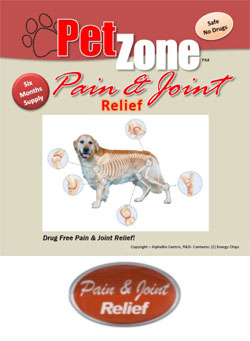 pain-joint-relief
